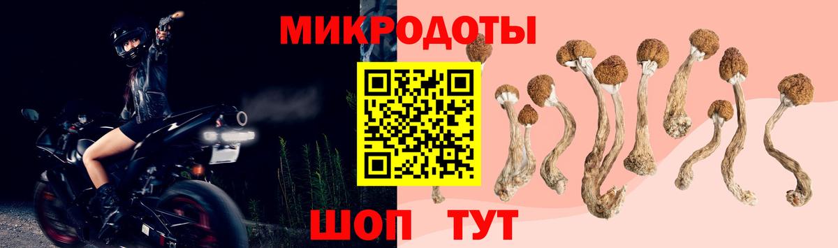 Галлюциногенные грибы MAGIC MUSHROOMS Сунжа